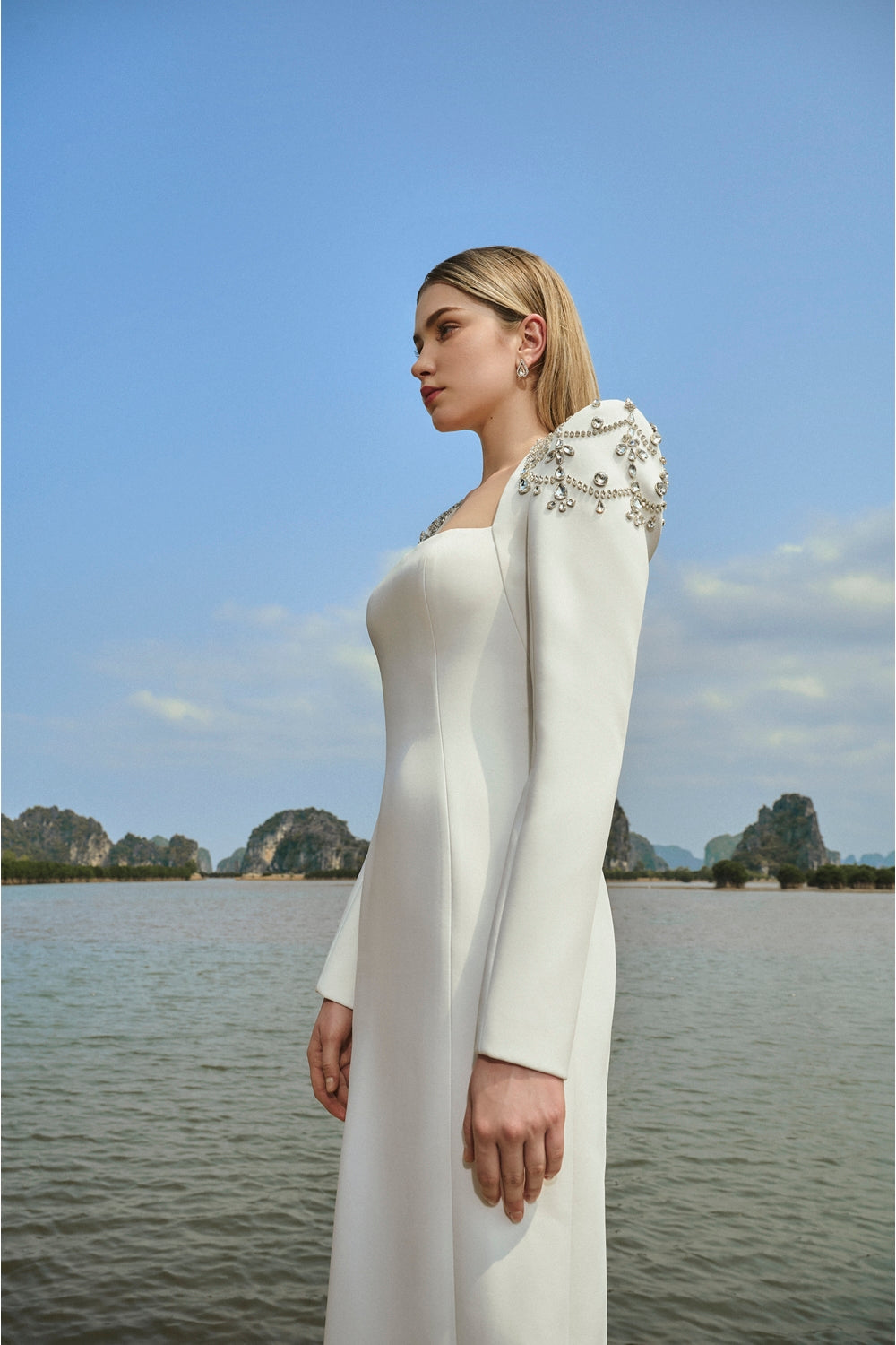 Long Sleeve Queen Anne Neckline Dress